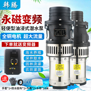 韩腾永磁变频轻便型海水养殖潜水泵耐腐蚀380v农用大流量灌溉水泵