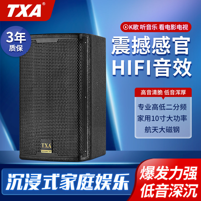 TXAPT10专业家庭ktv卡拉ok音箱舞蹈教学培训室专用中型会议室音响
