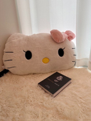 毛绒Kt 猫抱枕沙发客厅女学生宿舍睡觉专用靠枕护腰可爱猫头靠背