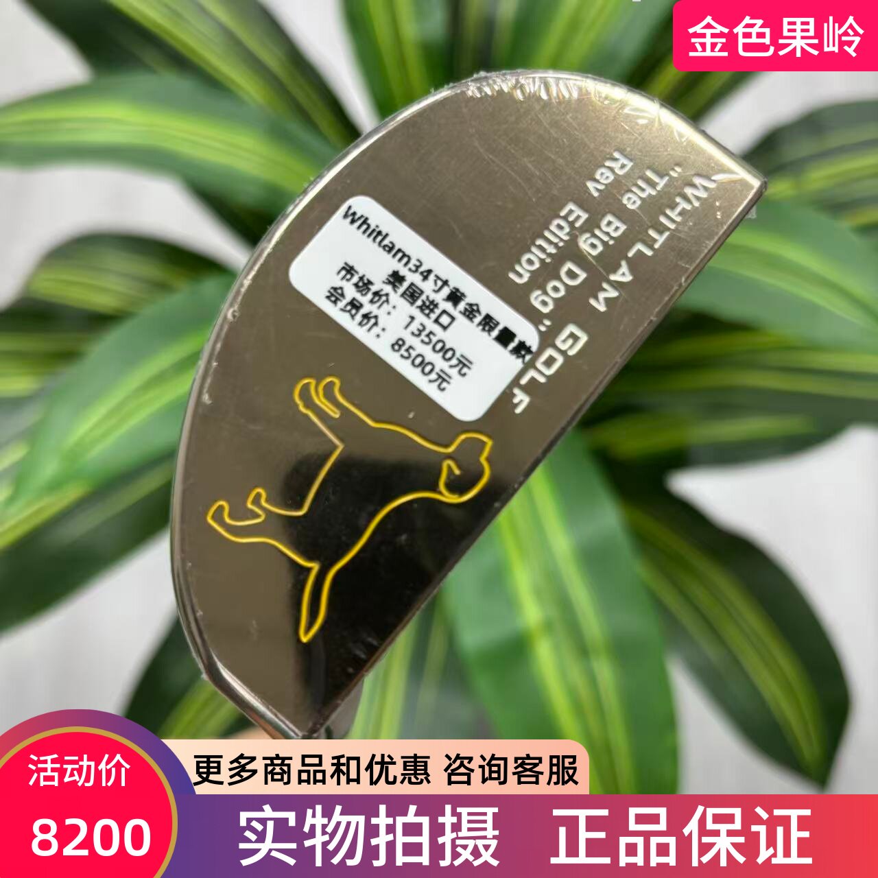 高尔夫球杆 正品全新WHITLAM推杆34寸 半圆推杆限量款 美国进口