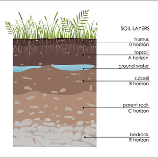 ai格式矢量素材地下水土壤层图地质学地下土地剖面信息图矿物插图