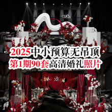 2025中小预算小众酒店室内轻森系韩系花园风高清婚礼图片案例素材