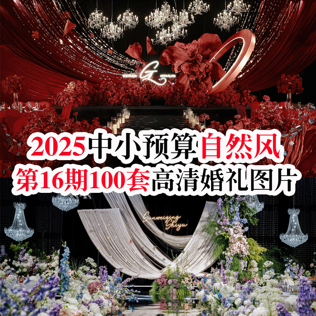 2025第16期100套室内自然风婚礼