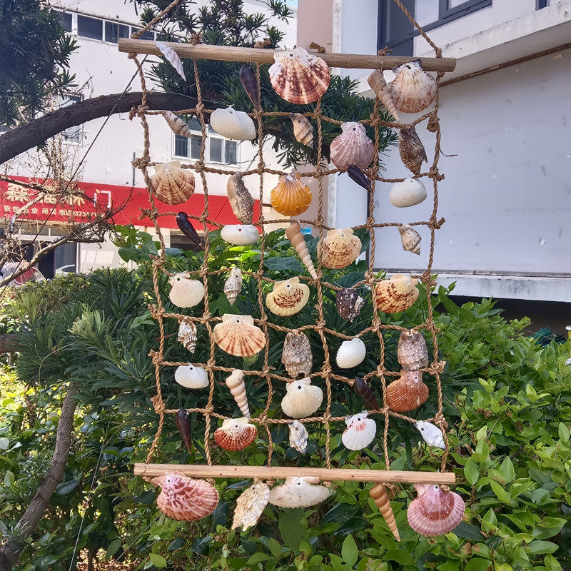 包邮家居装饰海洋天然贝壳扇贝海海螺/贝壳/珊瑚