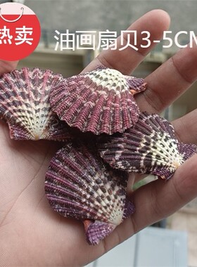 包邮天然海螺贝壳工艺品家居装饰
