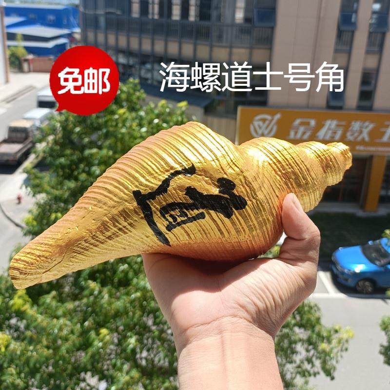 包邮天然超大海螺贝壳长香螺母螺镀金道士号角收藏礼品摆件螺号