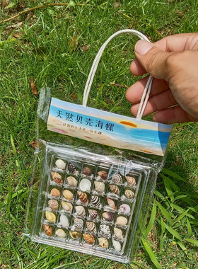 天然迷你小海螺贝壳海星高透亚克力收纳盒材料微贝沙标本海边礼物