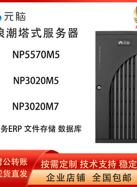 浪潮元脑NP3020M7塔式服务器