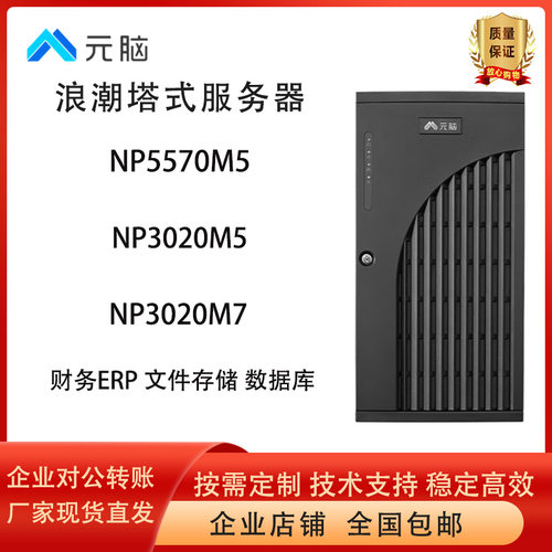 浪潮元脑NP3020M7塔式服务器