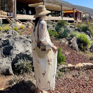 刺绣V领连衣裙早春中袖 2026新款 宽松娃娃长裙 春发新芽 heidy海蒂