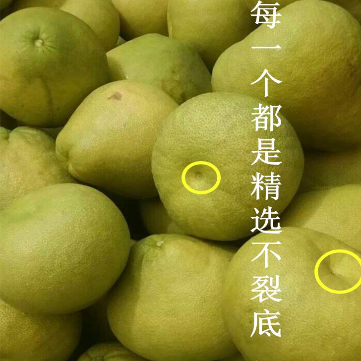30年老树肉嫩无籽现摘新鲜文旦柚