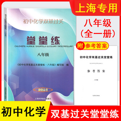 2025适用 初中化学双基过关堂堂练 8年级/八年级 初中化学单元测试 含参考答案 上海科学普及出版社