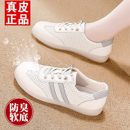 【官方品质/单品直降】