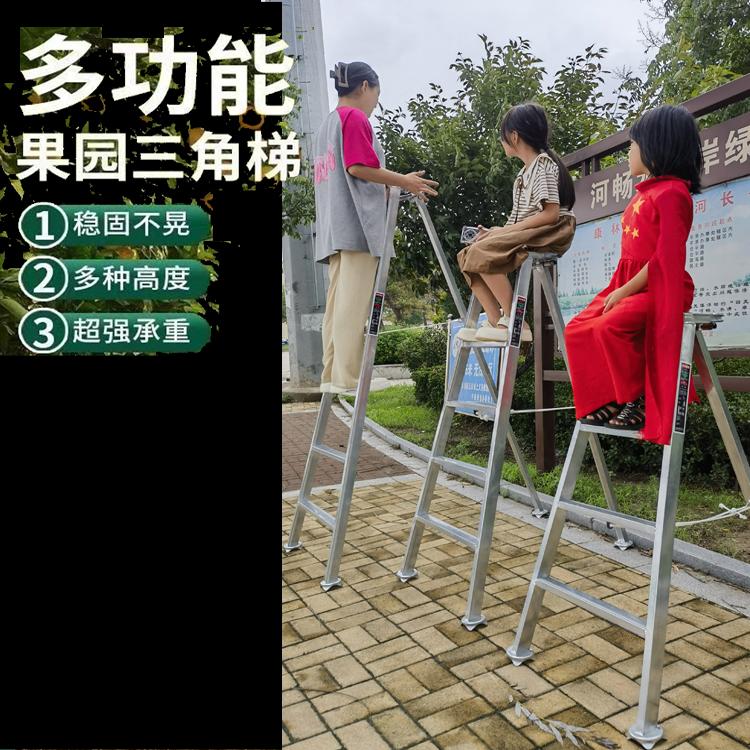 三角梯果园采摘梯碳钢铁梯