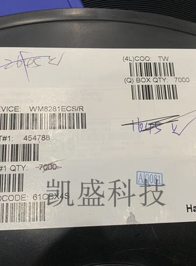WM8281ECS/R	CIRRUS	W-CSP138 原装现货