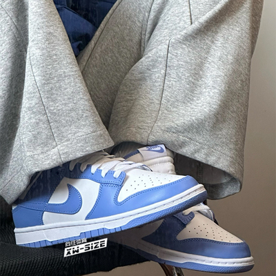 NIkeDunk系带男女板鞋低帮白蓝