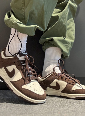 Nike耐克Dunk复古休闲板鞋FQ8249