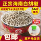 6A海南特一级产白胡椒粒250g精选新干货正宗农产品天然辛辣调味料