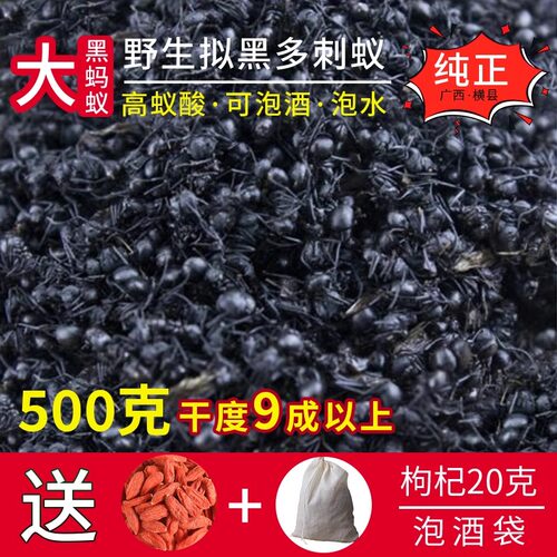 广西大黑蚂蚁干山蚁拟黑多刺蚁中药材养生泡酒食用500g另售蚂蚁粉