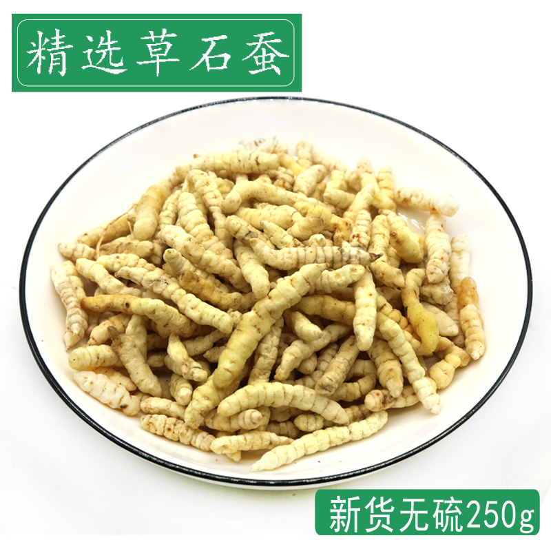 无硫草石蚕250g中药材地蚕土冬白虫草泽兰根甘露子新鲜干货中草药