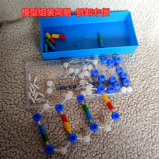 包邮DNA双螺旋结构模型组件J3242化学分子结构的组成碱基脱氧核糖