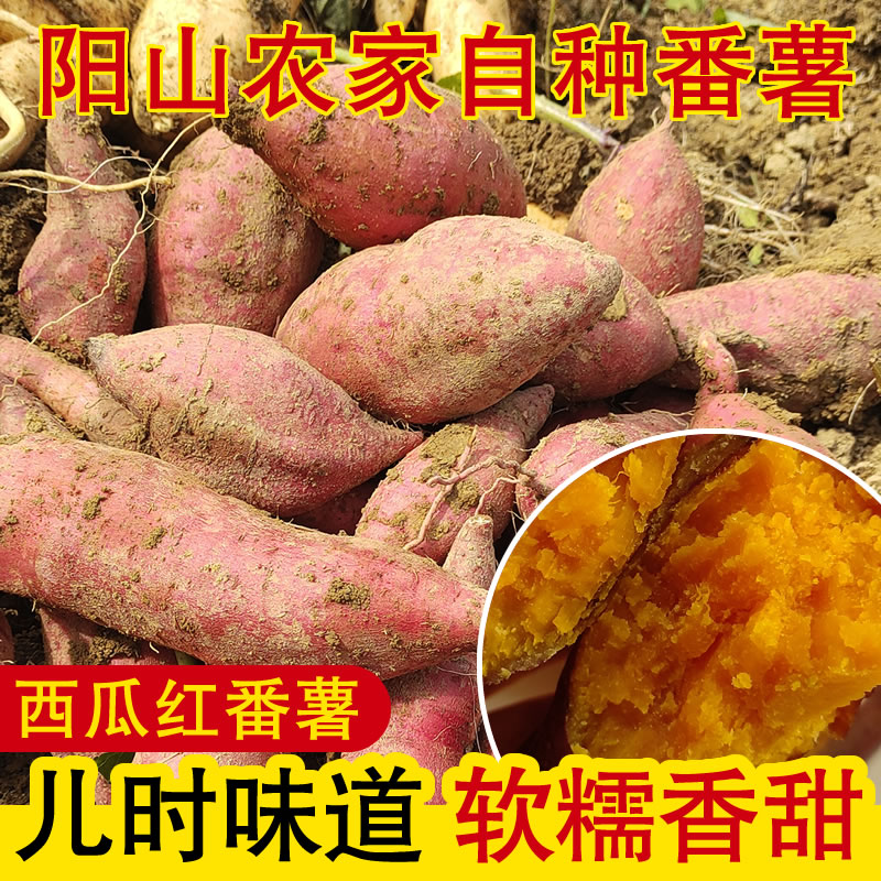 阳山农家自种新鲜粗粮