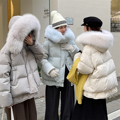 狐狸毛大毛领短款羽绒服女韩版
