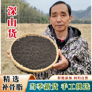 精选补骨脂新货深山野外生长无硫补骨脂籽药材破故纸婆固脂胡韭子