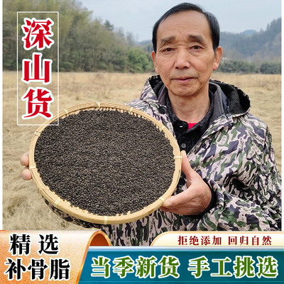 精选补骨脂新货深山野外生长无硫