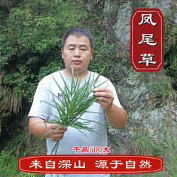 【山区凤尾草】鸡爪草 金鸡尾 井边栏草 五指草 新干品500克包邮