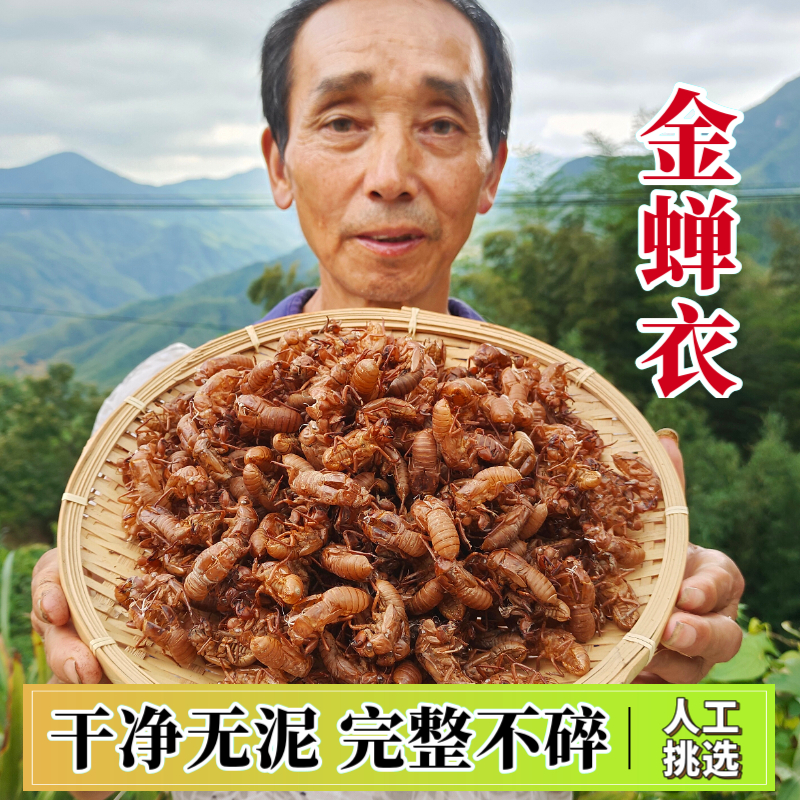深山采金蝉衣知了壳金蝉蜕壳干净不碎蝉退野外生蝉衣药材非黑蝉蜕