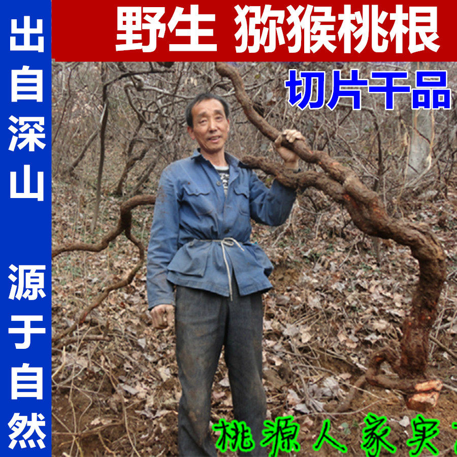 大别山野生猕猴桃根藤梨根雄洋桃根 雄杨桃根500克包邮另卖刀口药