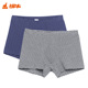 棉氨彩色条纹四角裤 Topnew 男NC004 男士 平脚内裤 铜牛 2条装