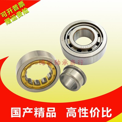 天马圆柱滚子小轴承大全铜钢卡nj
