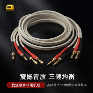 音响喇叭线发烧4N无氧铜功放主音箱喇叭线香蕉头Y插环绕连接线