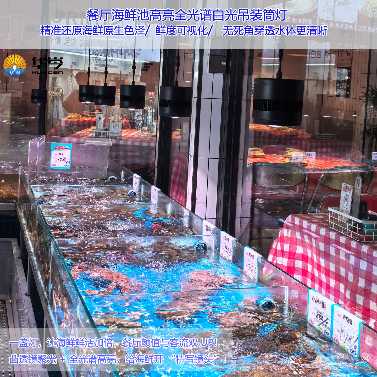 餐厅生鲜鱼池全光谱显色轨道吊灯