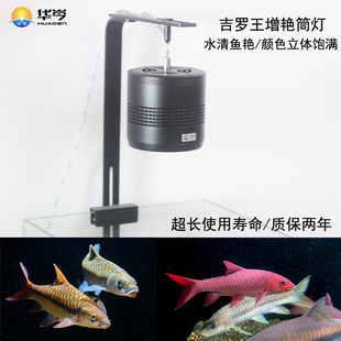 吉罗王灯全光谱增色显色爆藻灯 原生鱼溪流缸植物生长灯100瓦筒灯