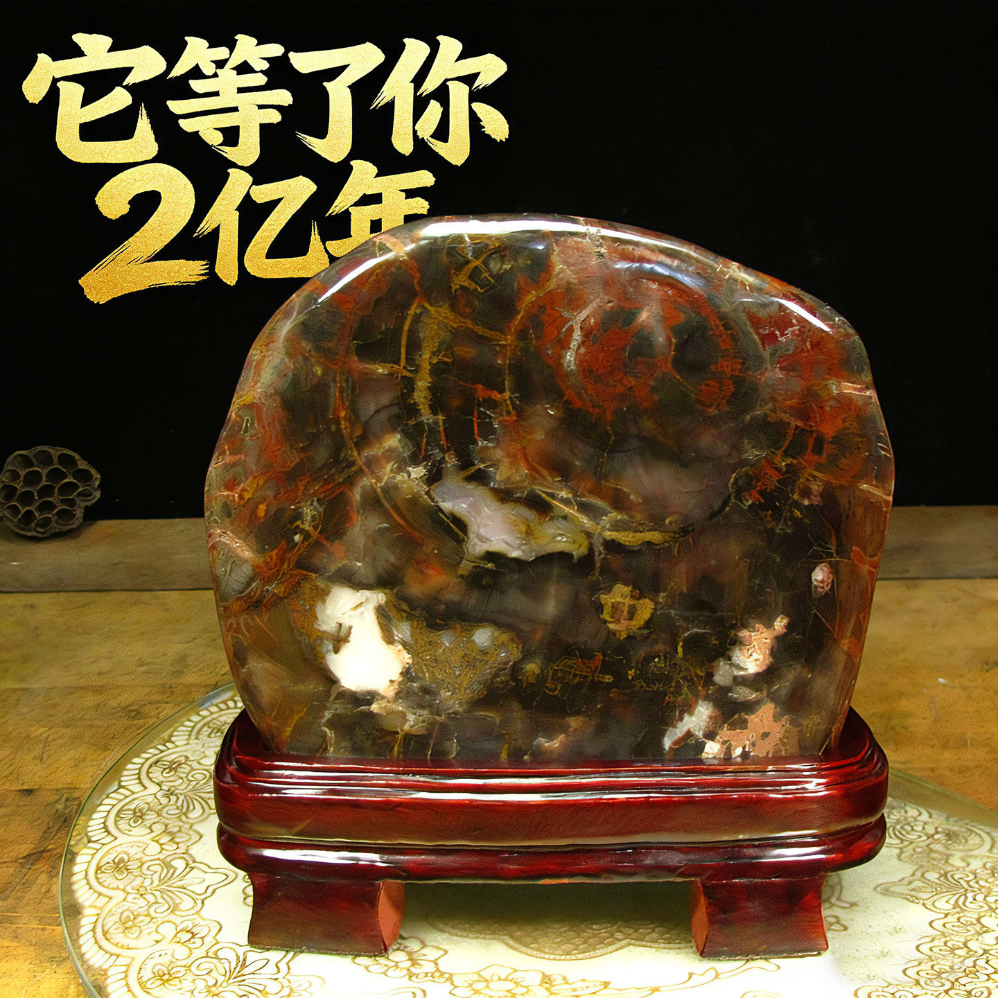 天然木化石树化玉硅化木原石观赏石客厅玄关装饰摆件开业乔迁礼品