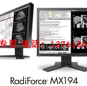 EIZO 艺卓RX250 MX216 MX194医疗用窥镜显示器3MP液晶RX370 GX560