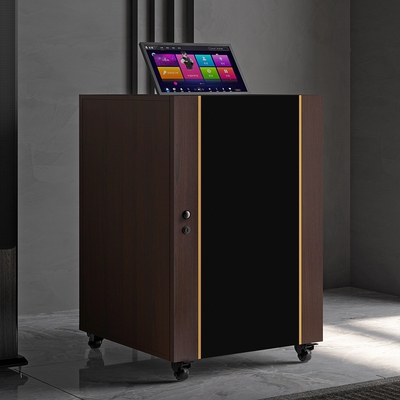 丹莱梅克影音设备机柜