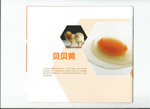 饲料添加剂贝贝黄代替加丽素黄着色剂养鸡虾蟹专用1Kg测试用包邮