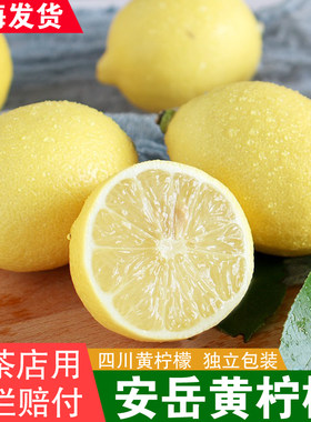 上海发 四川安岳黄柠檬 奶茶店切片皮薄多汁酒店餐饮商用新鲜包邮