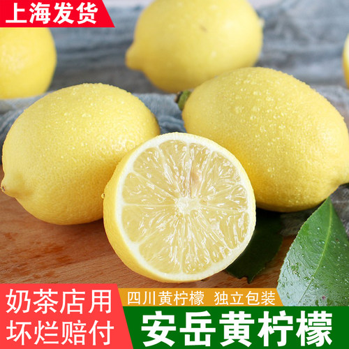 上海发 四川安岳黄柠檬 奶茶店切片皮薄多汁酒店餐饮商用新鲜包邮
