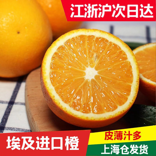 南非新鲜水果橙10斤榨汁当季新鲜
