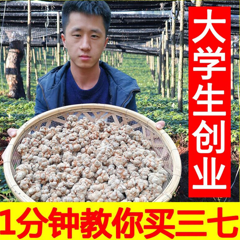 小范云南文山三七特级20头30头40头野生田七片中药材37粉正品500g
