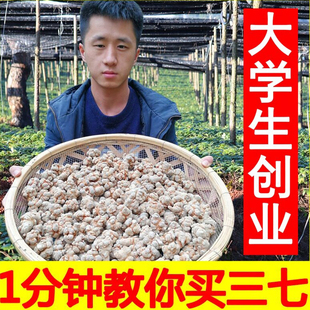 小范云南文山三七特级20头30头40头野生田七片中药材37粉正品 500g