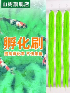 山树孵化毛刷锦鲤产卵鱼卵孵化刷金鱼繁殖水产养殖孵化草鱼巢