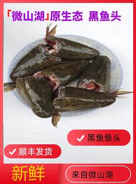 微山湖黑鱼鱼头营养炖汤鱼汤发