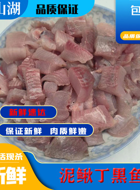 微山湖新鲜黑鱼丁黑鱼柳鱼乌鱼丁泥鳅丁喂养乌龟饲料河虾新鲜螺肉