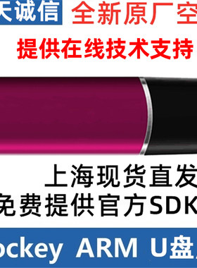 飞天诚信StoreRocKey ARM U优盘加密锁文档视频软件加密空狗16G32